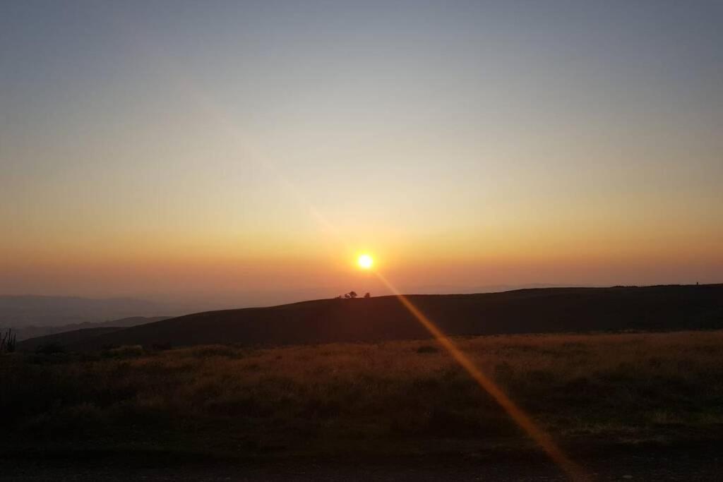 Rowan Cottages With Panoramic Views Of The Stiperstones And Walks On The Doorstep 什鲁斯伯里 外观 照片