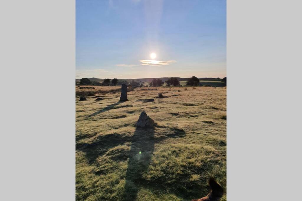 Rowan Cottages With Panoramic Views Of The Stiperstones And Walks On The Doorstep 什鲁斯伯里 外观 照片
