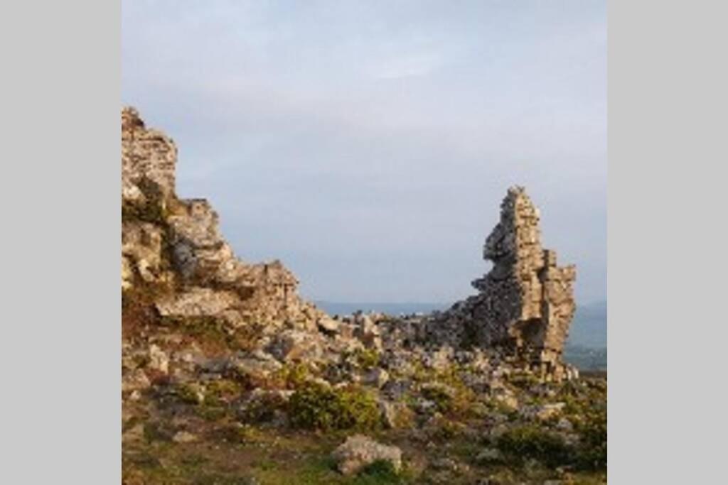 Rowan Cottages With Panoramic Views Of The Stiperstones And Walks On The Doorstep 什鲁斯伯里 外观 照片